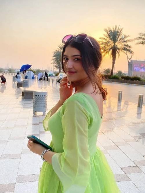 Ludhiana call girls